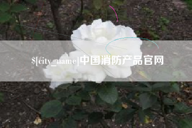 玉环中国消防产品官网