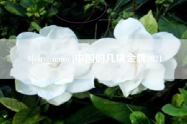 玉环中国的几块金牌2021