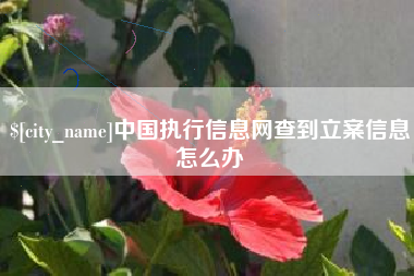 玉环中国执行信息网查到立案信息怎么办