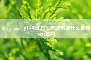 玉环中控证怎么考取需要什么条件2024年的