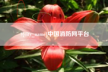 玉环中国消防网平台