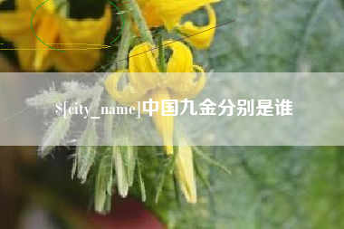 玉环中国九金分别是谁
