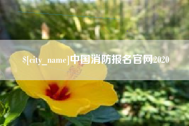 玉环中国消防报名官网2020