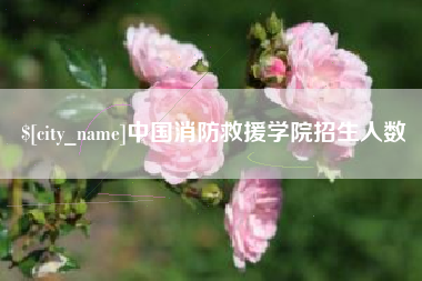 玉环中国消防救援学院招生人数