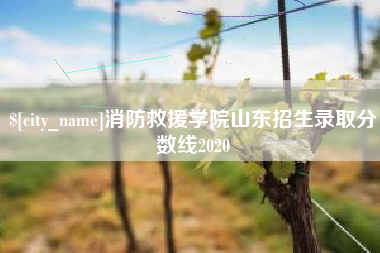 玉环消防救援学院山东招生录取分数线2020