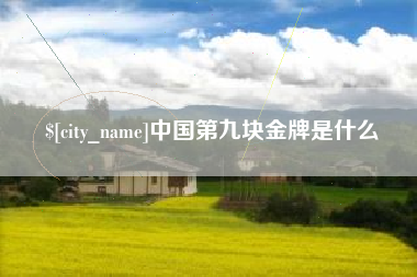 玉环中国第九块金牌是什么