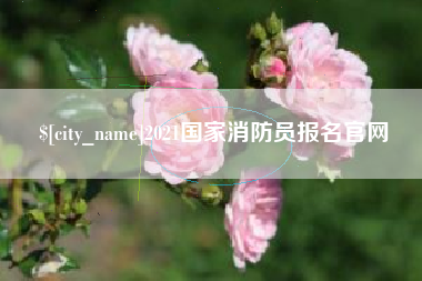 玉环2021国家消防员报名官网