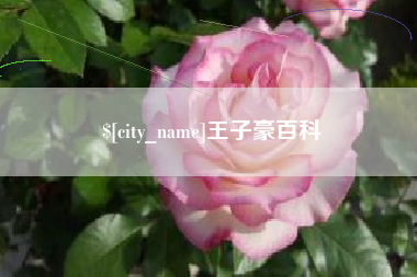 玉环王子豪百科