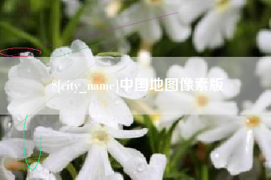 玉环中国地图像素版