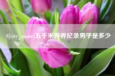 玉环五千米世界纪录男子是多少