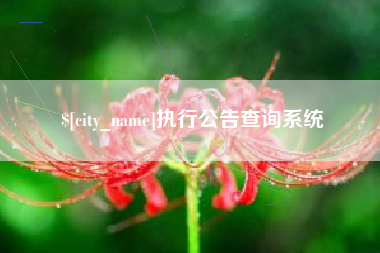 玉环执行公告查询系统