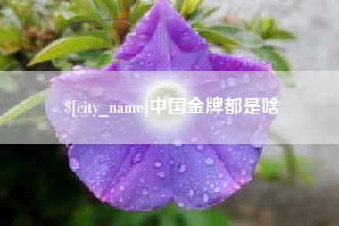玉环中国金牌都是啥