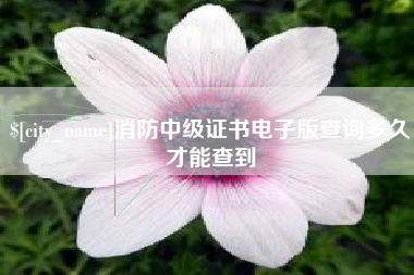 玉环消防中级证书电子版查询多久才能查到