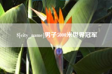玉环男子5000米世界冠军