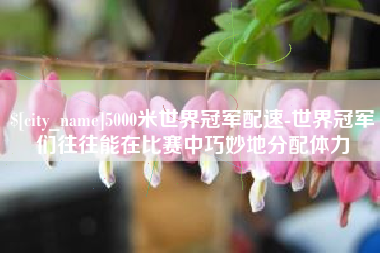 玉环5000米世界冠军配速-世界冠军们往往能在比赛中巧妙地分配体力
