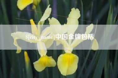 玉环中国金牌包括
