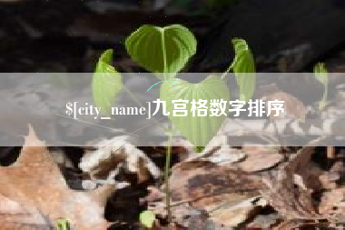 玉环九宫格数字排序