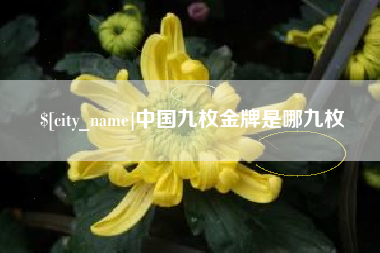 玉环中国九枚金牌是哪九枚