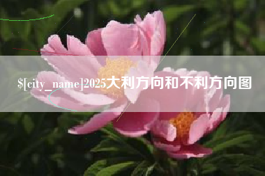 玉环2025大利方向和不利方向图