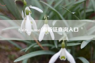 玉环消防证查询入口