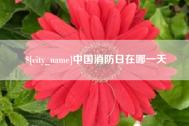 玉环中国消防日在哪一天
