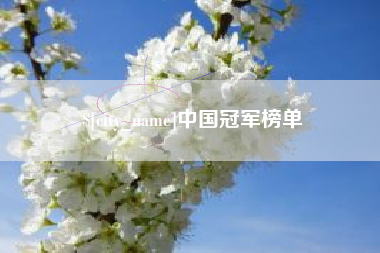 玉环中国冠军榜单