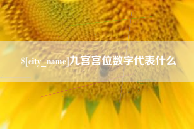 玉环九宫宫位数字代表什么