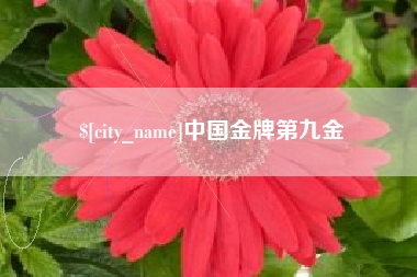 玉环中国金牌第九金
