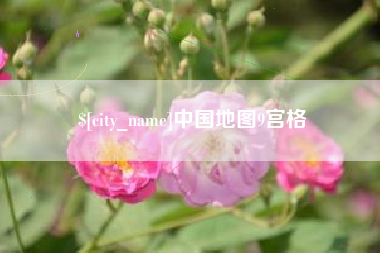 玉环中国地图9宫格