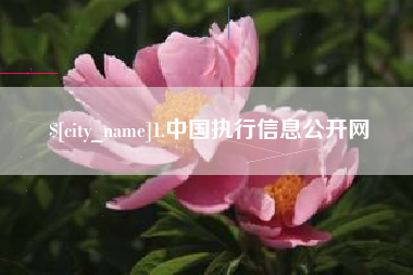 玉环1.中国执行信息公开网