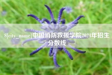 玉环中国消防救援学院2024年招生分数线