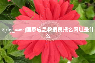 玉环国家应急救援员报名网址是什么
