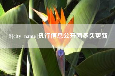 玉环执行信息公开网多久更新