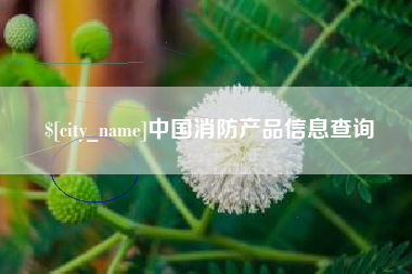 玉环中国消防产品信息查询