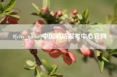 玉环中国消防报考中心官网