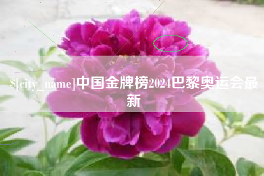 玉环中国金牌榜2024巴黎奥运会最新