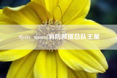 玉环消防救援总队王星