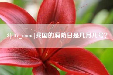 玉环我国的消防日是几月几号？