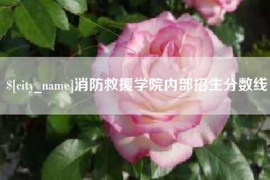 玉环消防救援学院内部招生分数线