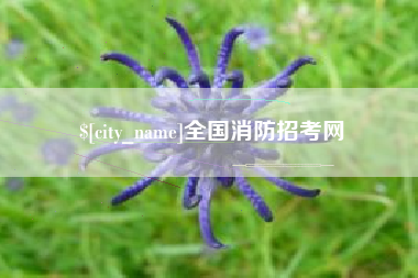 玉环全国消防招考网