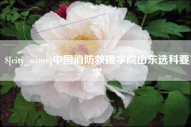 玉环中国消防救援学院山东选科要求