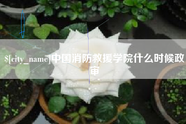 玉环中国消防救援学院什么时候政审