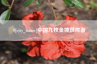 玉环中国九枚金牌获得者
