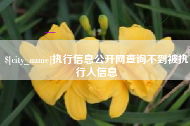 玉环执行信息公开网查询不到被执行人信息