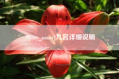 玉环九宫详细说明