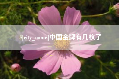 玉环中国金牌有几枚了