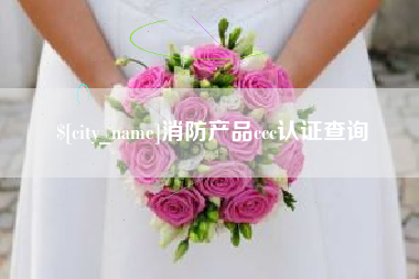 玉环消防产品ccc认证查询