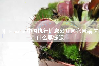 玉环中国执行信息公开网官网app为什么要钱呢