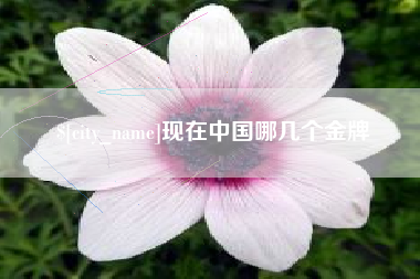 玉环现在中国哪几个金牌