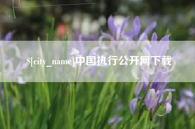 玉环中国执行公开网下载